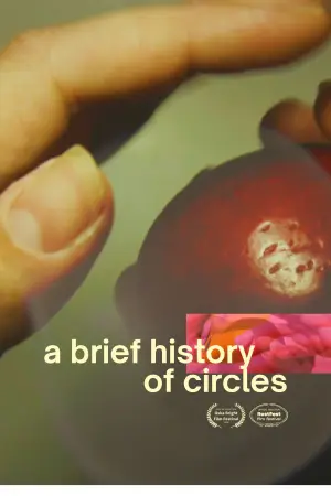 Постер к фильму "A Brief History of Circles" #757163