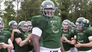 Задник к фильму "Невидимая сторона" #201699