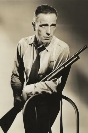 Постер к фильму "Высокая Сьерра" #419638