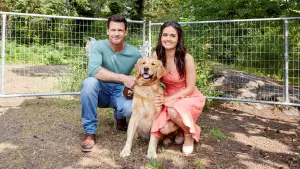 Задник к фильму "Любовь и Солнце" #426375