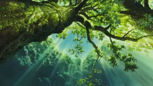 Задник к фильму "Принцесса Мононоке" #517607