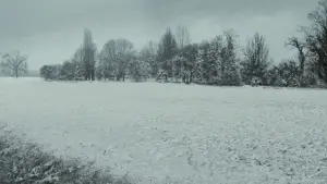 Задник к фильму "Назови меня своим именем" #595883