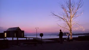 Задник к фильму "Домик у моря" #397930