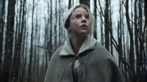 Задник к фильму "Ведьма" #251866