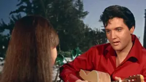 Задник к фильму "Пикничок" #498743