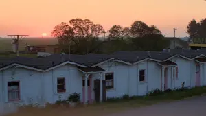 Задник к фильму "Хэллоуин 3: Сезон ведьм" #489261