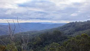 Задник к фильму "Город тайн: Исчезнувшая" #430475