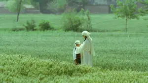 Задник к фильму "" #538865