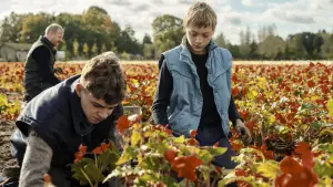 Задник к фильму "Близко" #186577