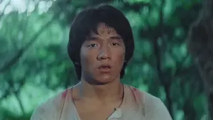 Задник к фильму "Последнее испытание Шаолиня" #400198