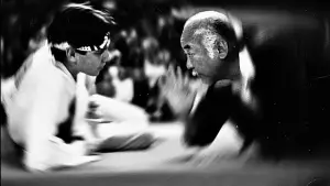 Задник к фильму "Парень-каратист" #649151