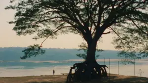 Задник к фильму "" #537091