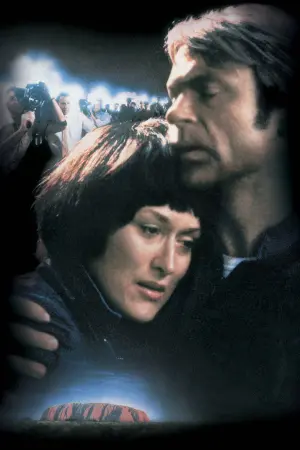 Постер к фильму "Крик во тьме" #352021