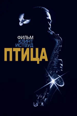 Постер к фильму "Птица"