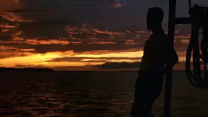 Задник к фильму "Форрест Гамп" #528559