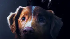 Задник к фильму "Хороший мальчик" #517170