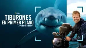 Задник к фильму "Лицом к лицу с акулами с Берти Грегори" #793006