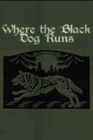 Постер к фильму "Where the Black Dog Runs" #821444