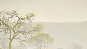 Задник к фильму "" #657707