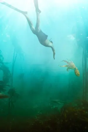 Постер к фильму "Мой учитель – осьминог" #383002