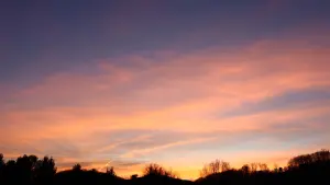 Задник к фильму "" #484482