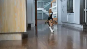 Задник к фильму "Джон Уик" #525981