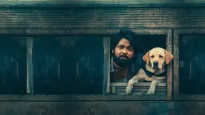 Задник к фильму "777 Чарли" #538479