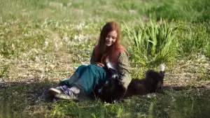 Задник к фильму "" #543510