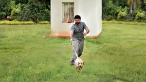 Задник к фильму "777 Чарли" #418954