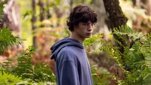 Задник к фильму "Королевство зверей" #365899