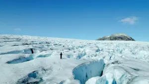 Задник к фильму "Fedrelandet" #192044