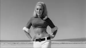 Задник к фильму "Быстрая Кошечка! Убей, Убей!" #467257