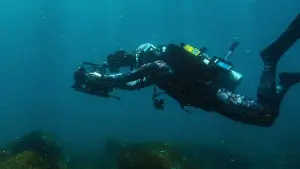 Задник к фильму "Лицом к лицу с акулами с Берти Грегори" #792997