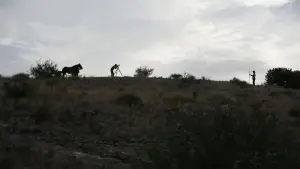 Задник к фильму "Нефть" #624075