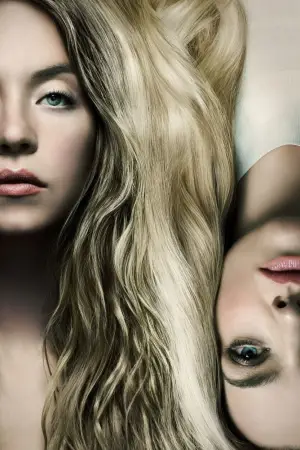 Постер к фильму "Горничная" #507213