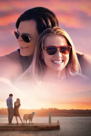 Постер к фильму "Выбор" #234580