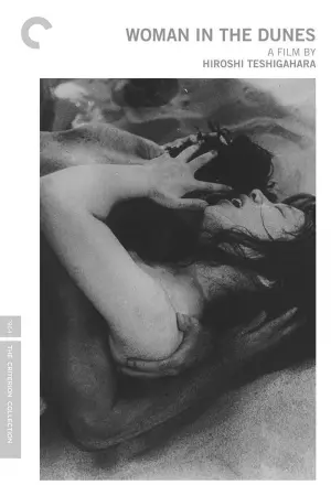 Постер к фильму "Женщина в песках" #154056