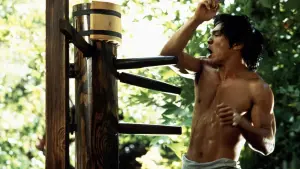 Задник к фильму "Дракон: История Брюса Ли" #254684