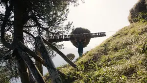 Задник к фильму "" #420426