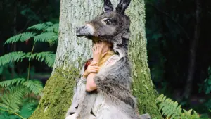 Задник к фильму "Ослиная шкура" #483047