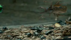 Задник к фильму "Кожа, в которой я живу" #699181