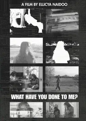 Постер к фильму "What Have You Done To Me?" #922961