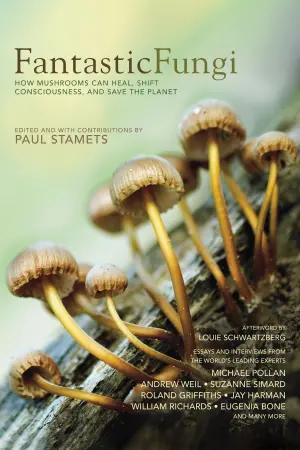 Постер к фильму "Фантастические грибы" #445422