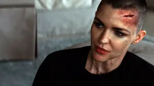 Задник к фильму "Безбилетный пассажир" #346687