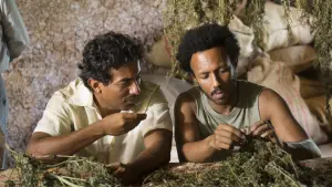 Задник к фильму "Перелётные птицы" #469417