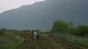 Задник к фильму "" #542296