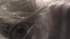 Задник к фильму "" #637955