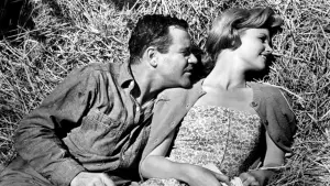 Задник к фильму "Дни вина и роз" #456737