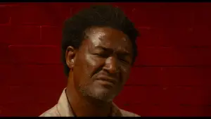 Задник к фильму "Делай как надо" #708529