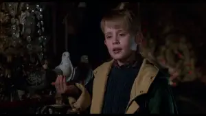 Задник к фильму "Один дома 2: Затерянный в Нью-Йорке" #567062